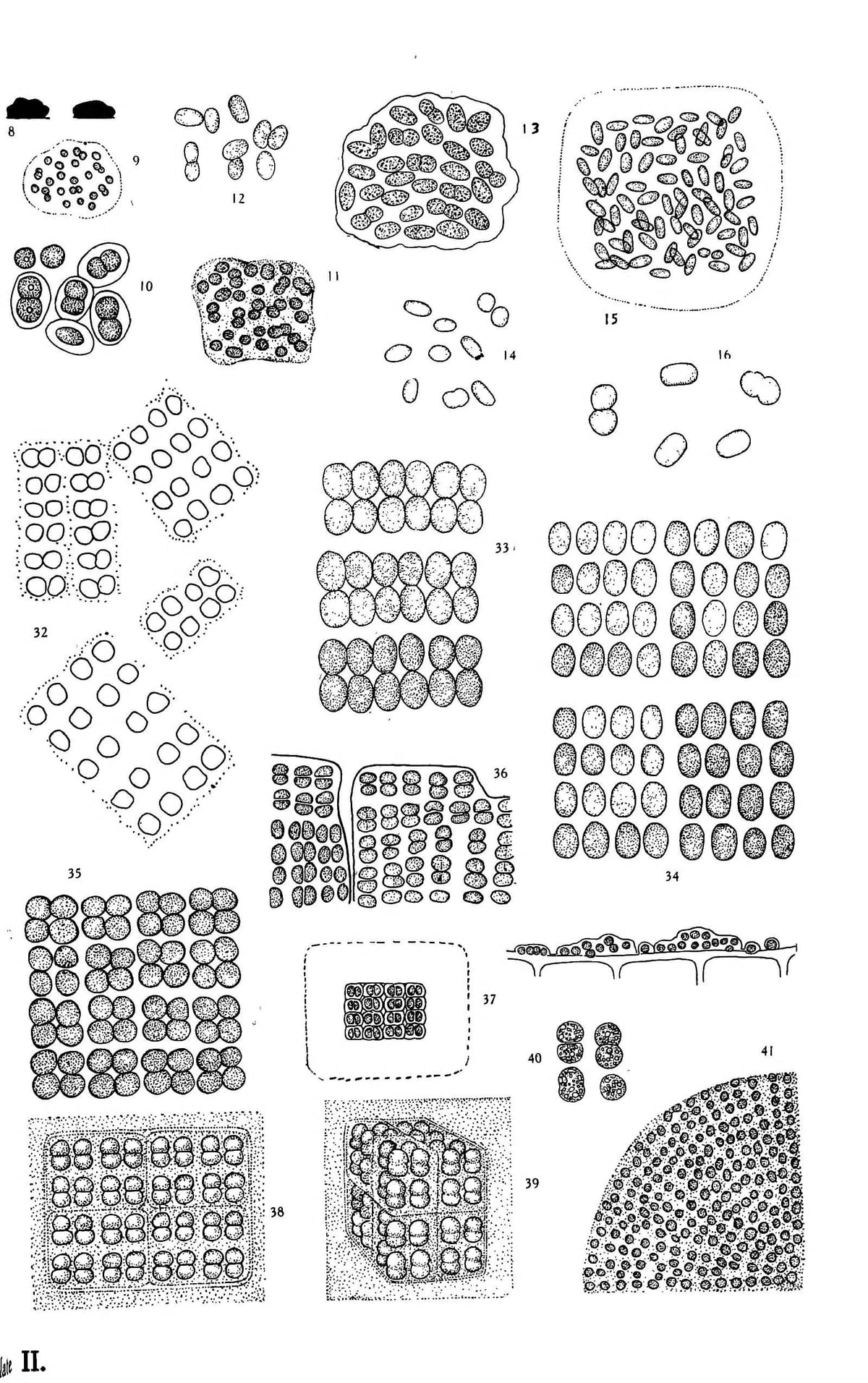 cu31924072675410_0342