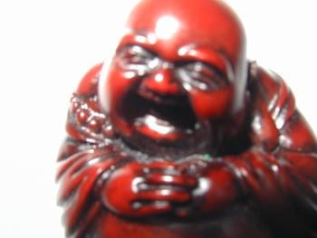 The Koans? They're jokes! You people take things too seriously.