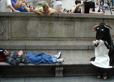 Event on the steps of the New York Public Library, Main Branch (by Bryant Park)