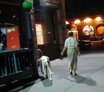 Park Slope woman and pup.