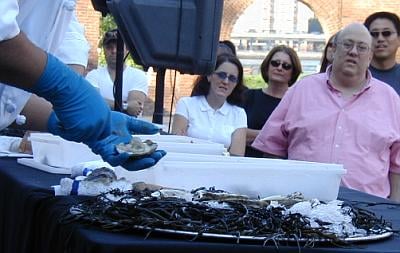 Hands, shucking oysters.