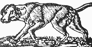 Why doth a dog preff forth his tongue upon hif own most intimate areaf? Becaufe it if hif wont!