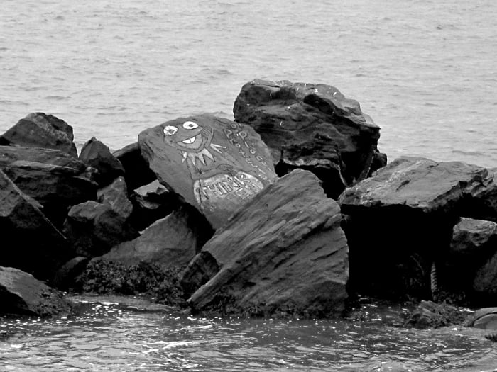 Kermit, Star of the Sea