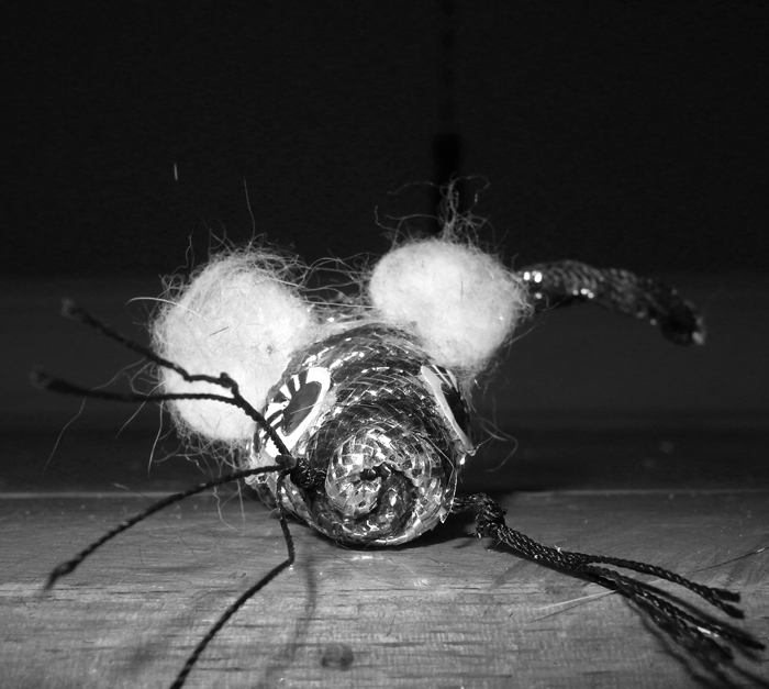 Mouse in the spotlight