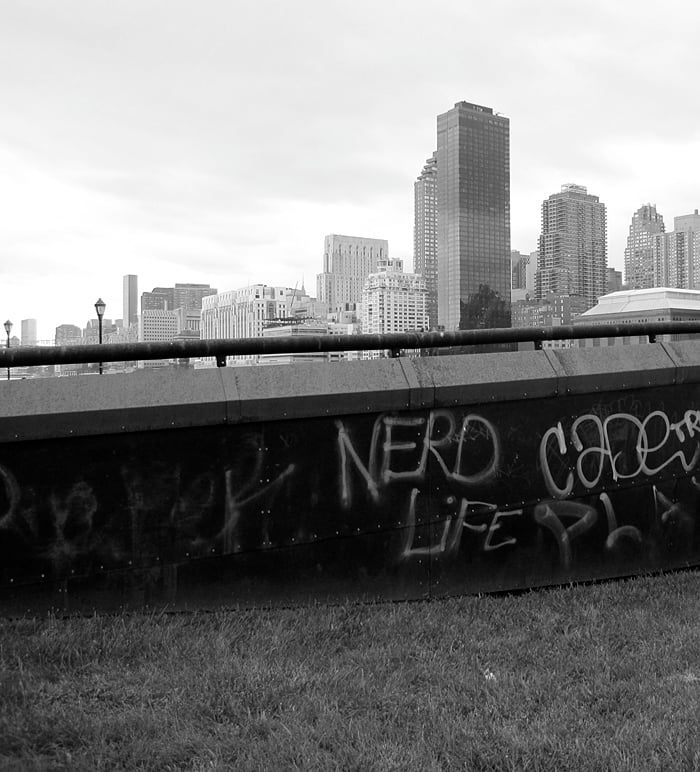 "Nerd Life," Roosevelt Island