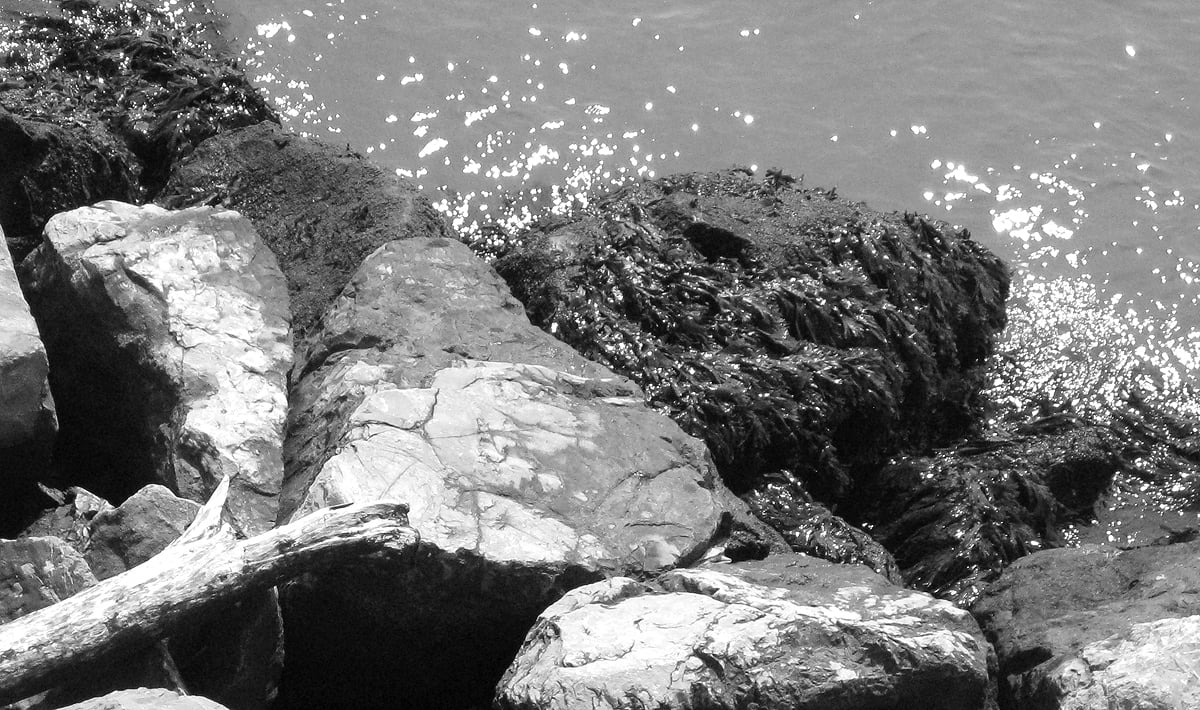 Rocks and water