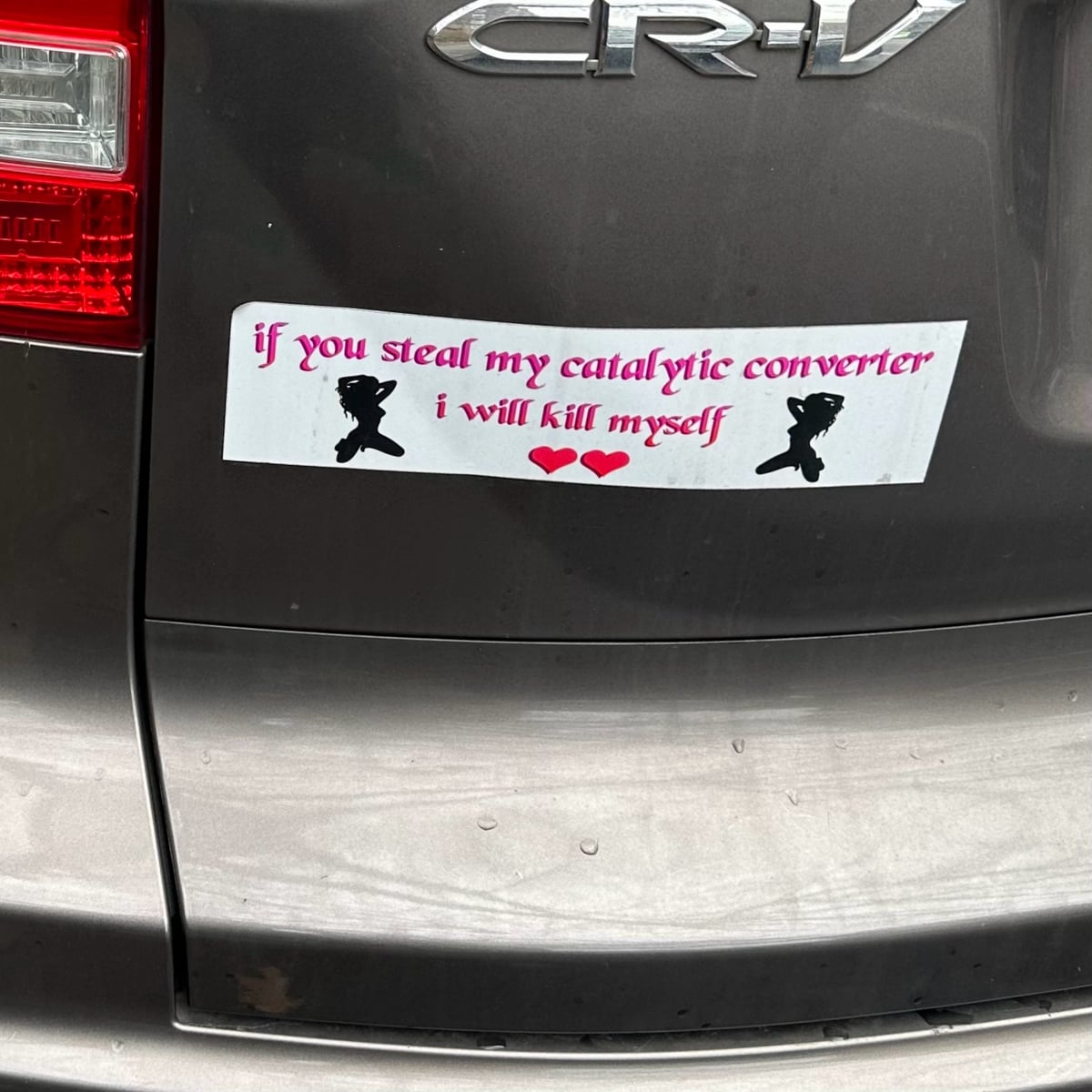 A bumper sticker on a great car. Two silhouettes of naked ladies holding up their hair and two hearts. It reads “If you steal my catalytic converter I will kill myself.”