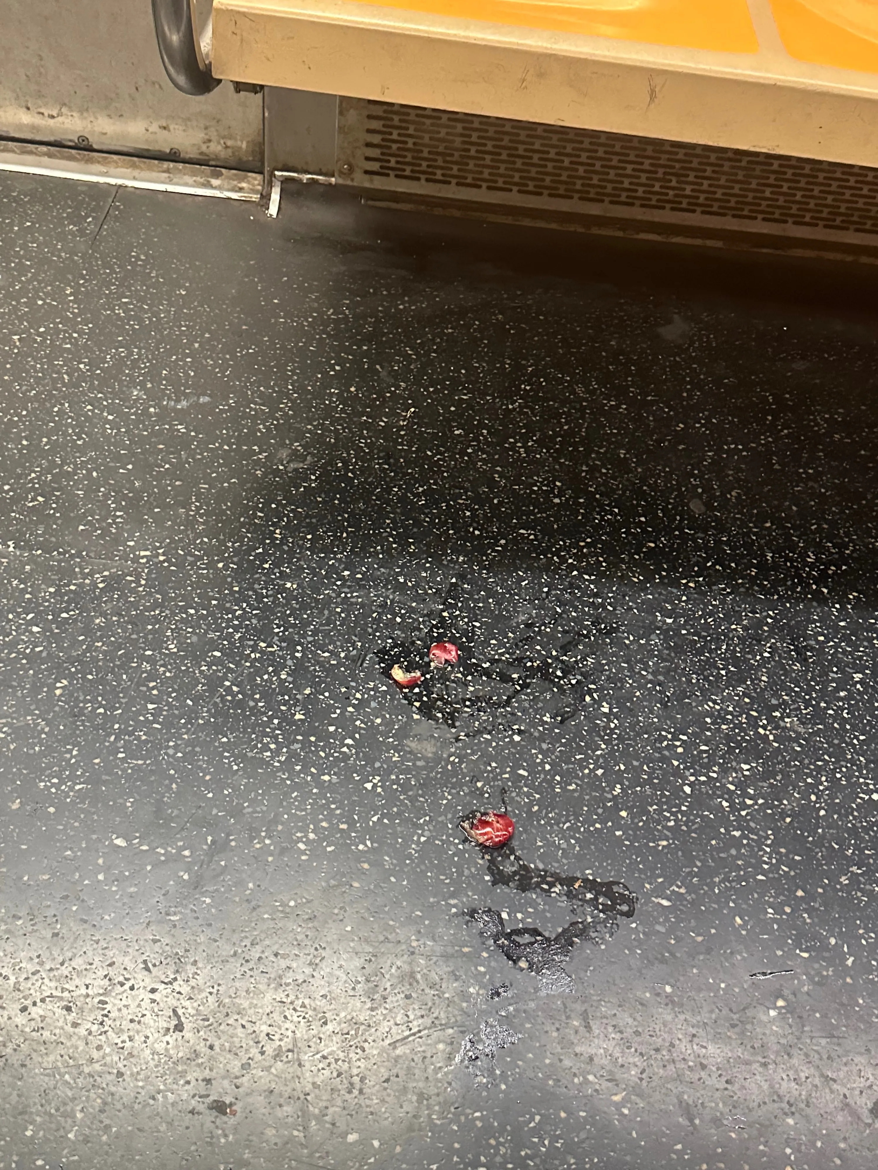 Smushed plums on the floor of the 6 train