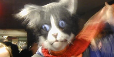 All images copyright 2004 Paul Ford